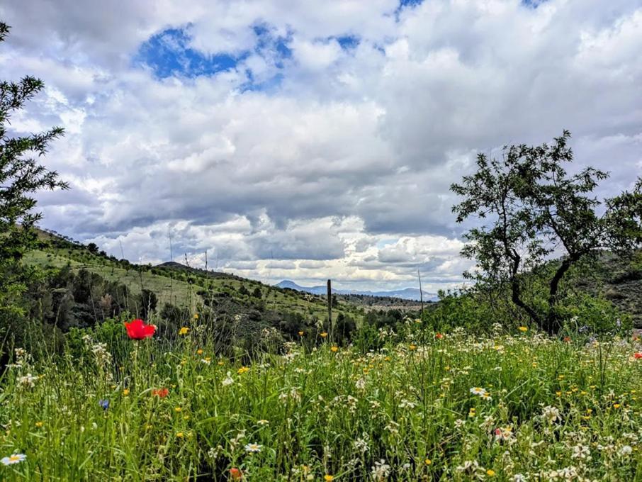 Nature Home Maitreya Lorca  Dış mekan fotoğraf